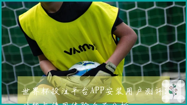 世界杯投注平台APP安装用户测评：功能与使用体验全面分析