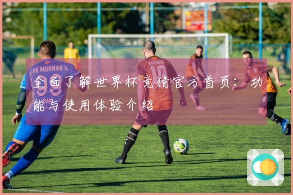 全面了解世界杯竞猜官方首页：功能与使用体验介绍