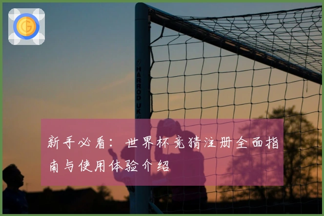 新手必看：世界杯竞猜注册全面指南与使用体验介绍