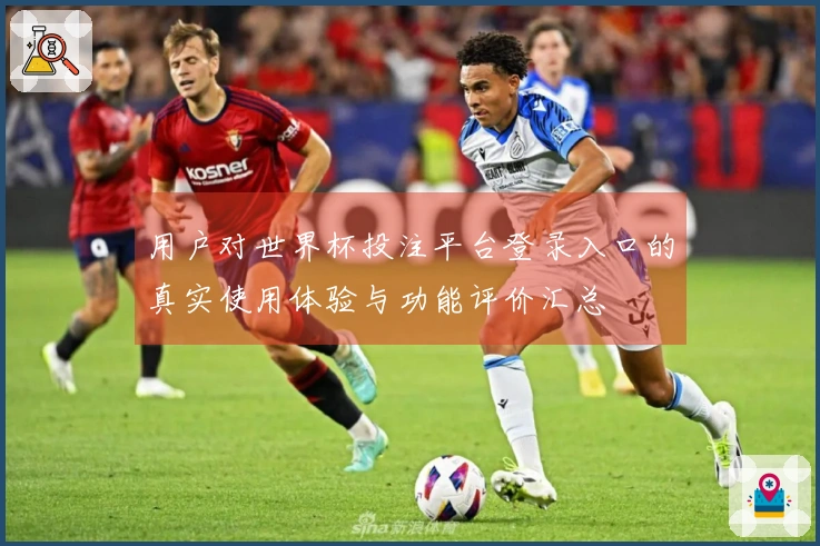 用户对世界杯投注平台登录入口的真实使用体验与功能评价汇总