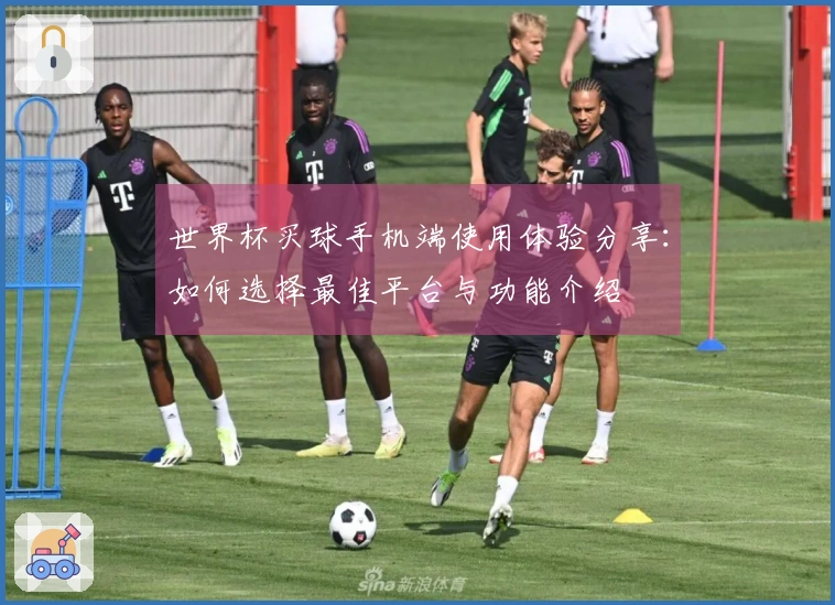 世界杯买球手机端使用体验分享：如何选择最佳平台与功能介绍