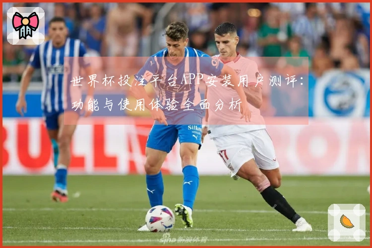 世界杯投注平台APP安装用户测评：功能与使用体验全面分析
